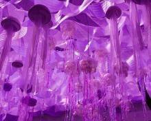 Pere Pueyo VIOLETA