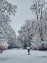 Passeig Maristany