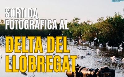 Cartell Sortida al Delta del Llobregat