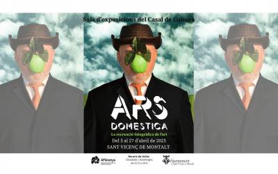 ARS DOMESTICA 2025