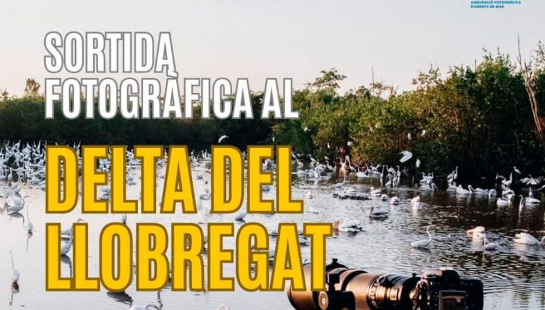 Cartell Sortida al Delta del Llobregat