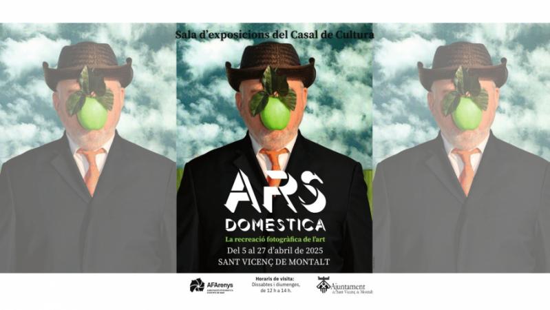 ARS DOMESTICA 2025